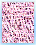 Raffia JPSC09