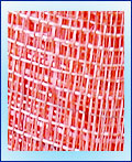 Raffia JPSC12