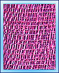 Raffia JPSC16