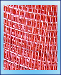 Raffia JPSC15