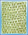 Raffia JPSC07