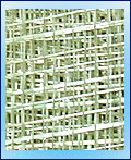 Raffia JPSC07