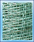 Raffia JPSC08