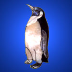 Shell brooches crafted in piguin design