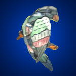 Shell brooches crafted in parrot design
