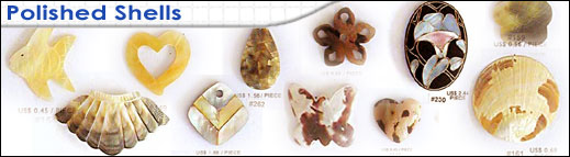 Shell and wood components