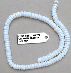 Puka Shell White - Grinded Class B