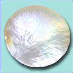 Raw of Pearls cdoe JPROP006